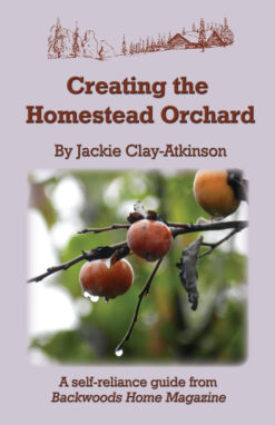Creating the Homestead Orchard