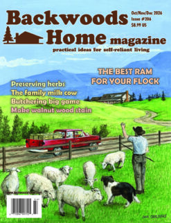 Issue #206: October/November/December 2026